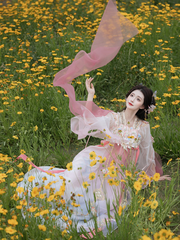 Women Summer Qixiong Hanfu Suit Flower Fairy Cosplay Dress