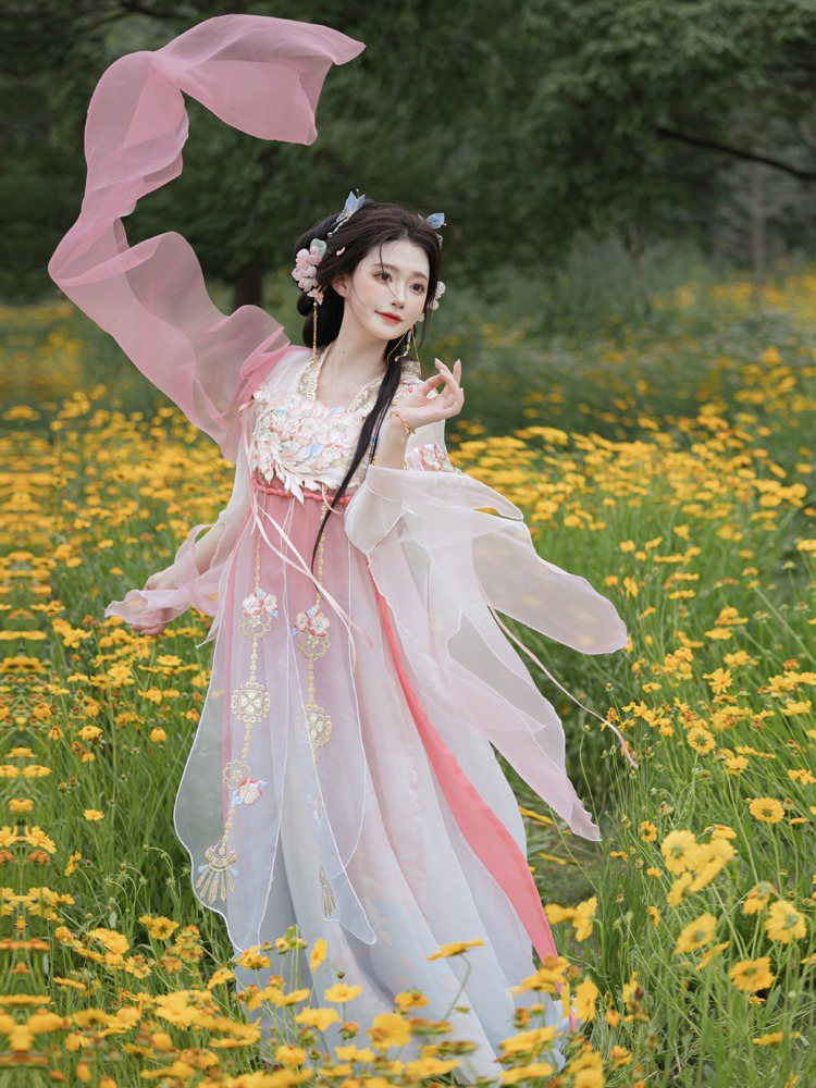 Women Summer Qixiong Hanfu Suit Flower Fairy Cosplay Dress