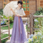 Women Tang Dynasty Summer Hanfu Casual Short-Sleeved Retro Clothing