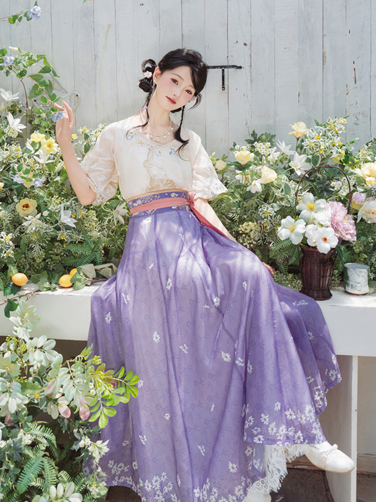 Women Tang Dynasty Summer Hanfu Casual Short-Sleeved Retro Clothing