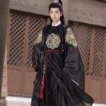 Men Black Round Collar Robe Autumn Tang Dynasty Hanfu Wuxia Clothing