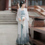 Song Dynasty Ladies Hanfu Simple Qiyao Costume