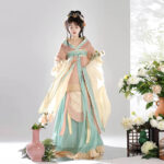 Sui Dynasty Ladies Hanfu Autumn Large Sleeve Style