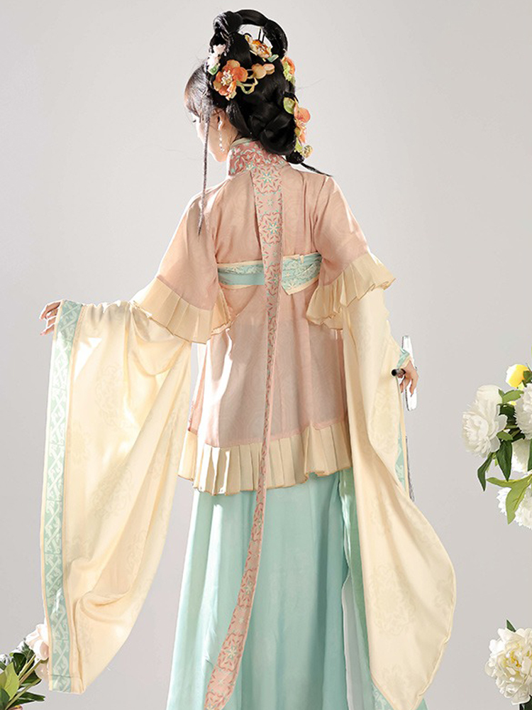 Sui Dynasty Ladies Hanfu Autumn Large Sleeve Style