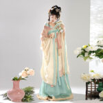 Sui Dynasty Ladies Hanfu Autumn Large Sleeve Style