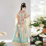 Sui Dynasty Ladies Hanfu Autumn Large Sleeve Style