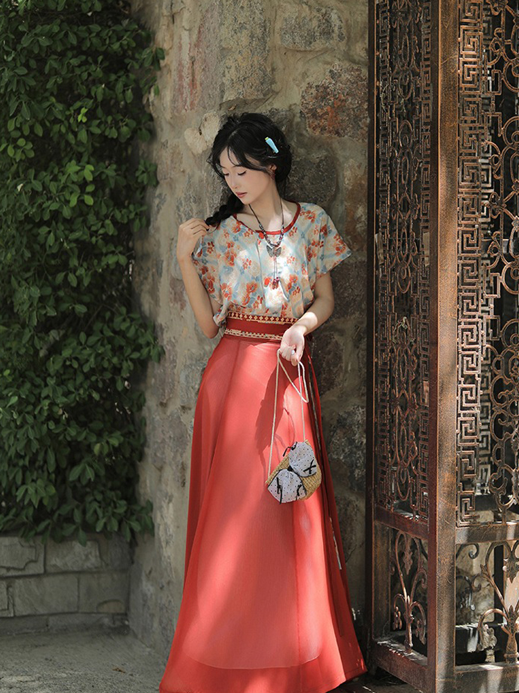 Tang Dynasty Casual hanfu Women Red Long Skirt for Everyday Wear