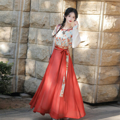Tang Dynasty Casual hanfu Women Red Long Skirt for Everyday Wear