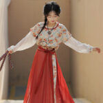Tang Dynasty Casual hanfu Women Red Long Skirt for Everyday Wear