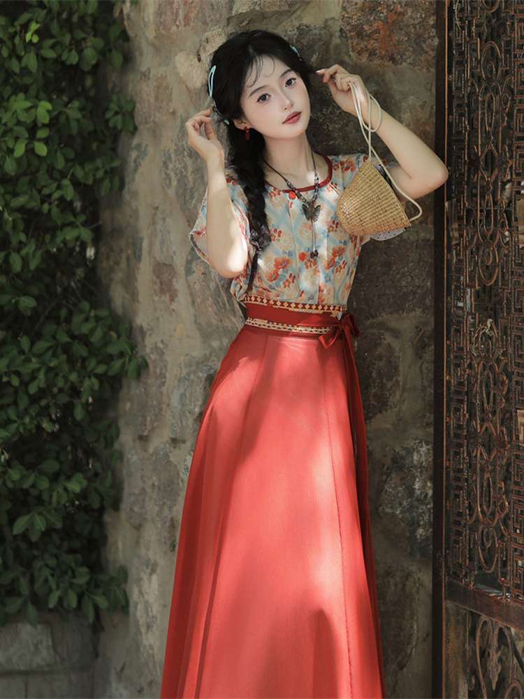 Tang Dynasty Casual hanfu Women Red Long Skirt for Everyday Wear