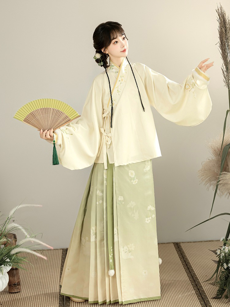 Winter Women Hanfu Fluffy Lining Ming Dynasty Mamian Qun Set