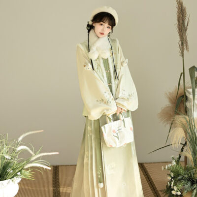 Winter Women Hanfu Fluffy Lining Ming Dynasty Mamian Qun Set