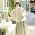 Winter Women Hanfu Fluffy Lining Ming Dynasty Mamian Qun Set
