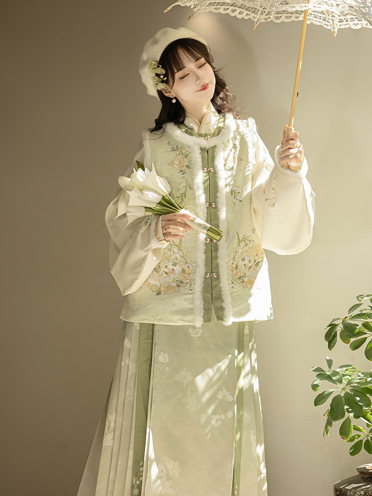 Winter Women Hanfu Fluffy Lining Ming Dynasty Mamian Qun Set