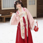 Chinese New Year Women Hanfu Tang Dynasty Style Winter Waist-Length Everyday Wear