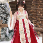 Chinese New Year Women Hanfu Tang Dynasty Style Winter Waist-Length Everyday Wear