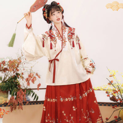 Ming Dynasty Women Hanfu Winter Aoqun New Style Maian Skirt