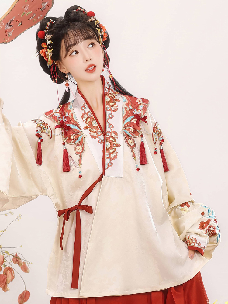 Ming Dynasty Women Hanfu Winter Aoqun New Style Maian Skirt