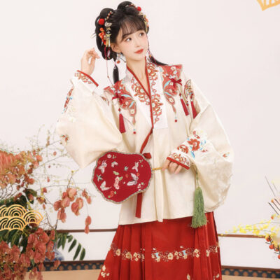 Ming Dynasty Women Hanfu Winter Aoqun New Style Maian Skirt