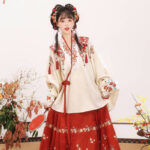 Ming Dynasty Women Hanfu Winter Aoqun New Style Maian Skirt