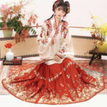 Ming Dynasty Women Hanfu Winter Aoqun New Style Maian Skirt