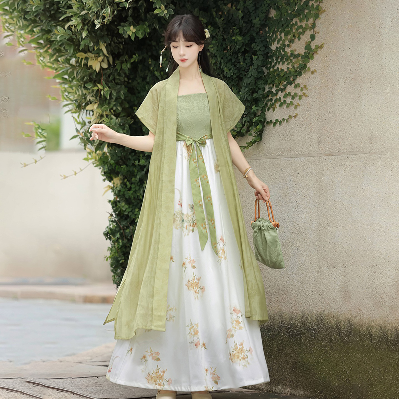 Song Dynasty Casual Women Hanfu Everyday Fashion Dress Set