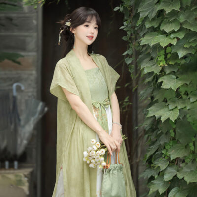 Song Dynasty Casual Women Hanfu Everyday Fashion Dress Set
