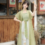 Song Dynasty Casual Women Hanfu Everyday Fashion Dress Set