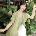 Song Dynasty Casual Women Hanfu Everyday Fashion Dress Set