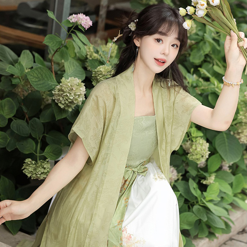 Song Dynasty Casual Women Hanfu Everyday Fashion Dress Set