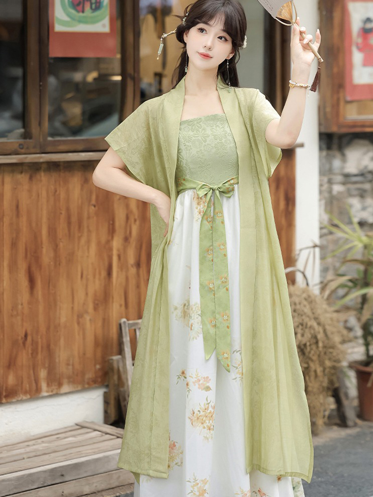 Song Dynasty Casual Women Hanfu Everyday Fashion Dress Set