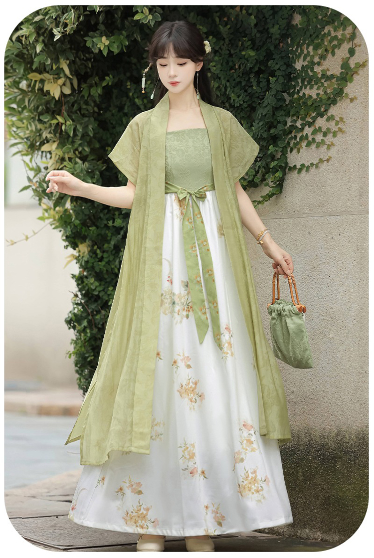 Song Dynasty Casual Women Hanfu Everyday Fashion Dress Set