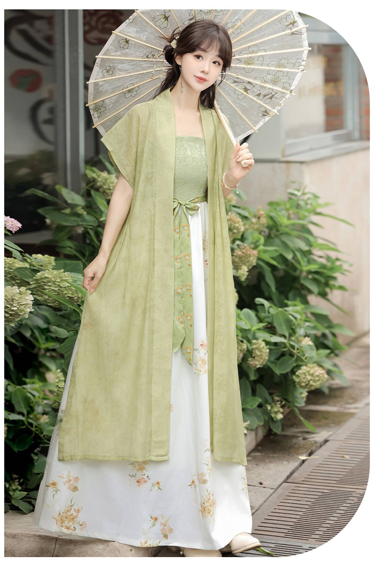 Song Dynasty Casual Women Hanfu Everyday Fashion Dress Set