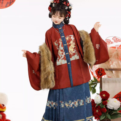 Women Winter Hanfu Ming Dynasty Short Bijia Top with Butterfly Skirt Set