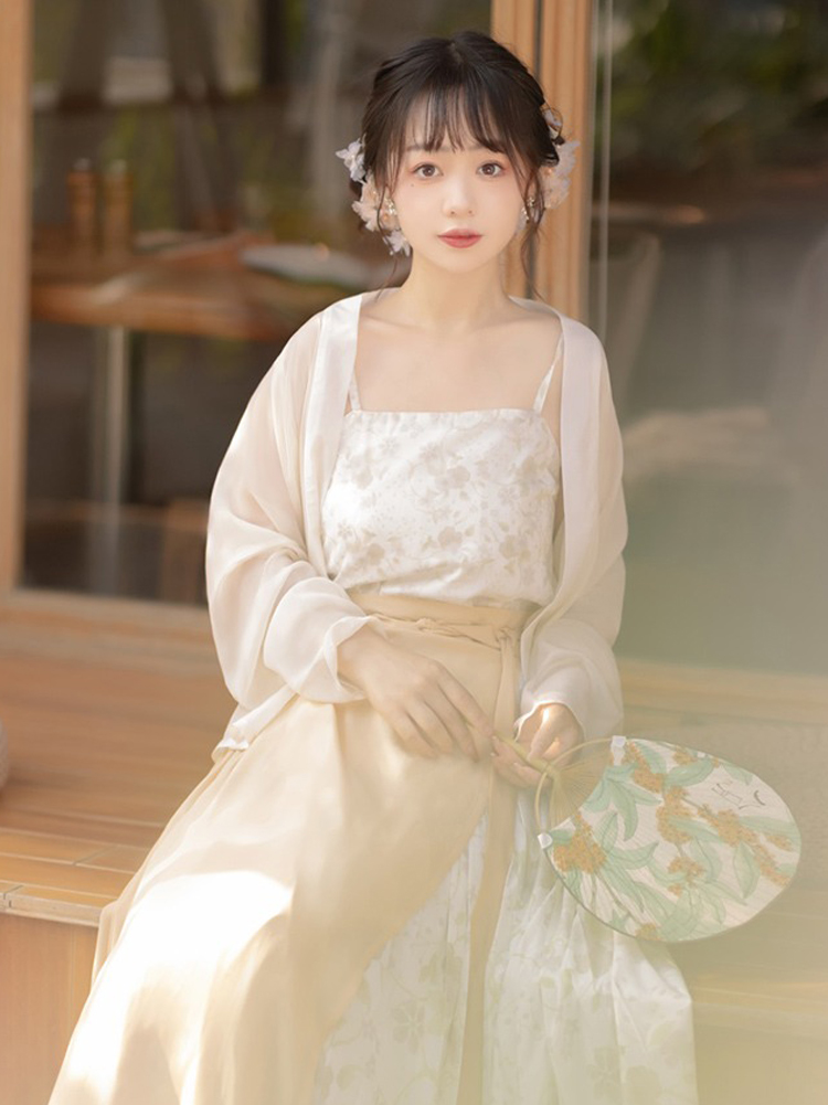 Woman Song Dynasty Fashion Hanfu Autumn Casual Set