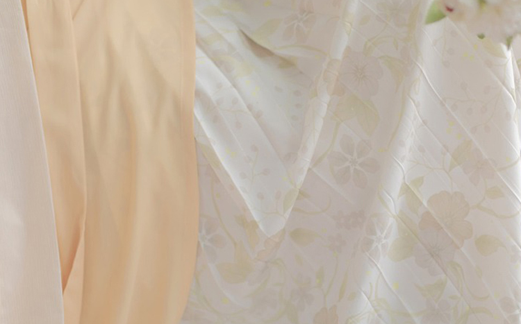 Woman Song Dynasty Fashion Hanfu Autumn Casual Set