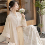 Woman Song Dynasty Fashion Hanfu Autumn Casual Set