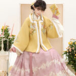 Women Ming Dynasty Winter Hanfu Square-Neck Top Thickened Casual Set