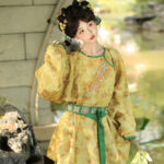 Autumn Tang Dynasty Women Hanfu Round Neck Robe Cute Yellow Daily Set