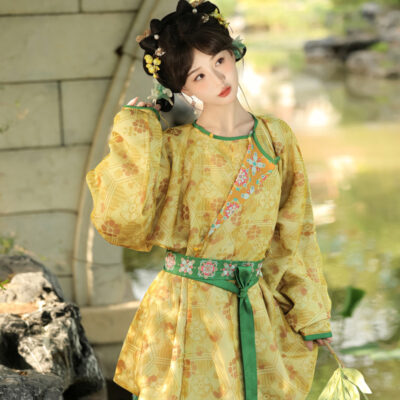 Autumn Tang Dynasty Women Hanfu Round Neck Robe Cute Yellow Daily Set
