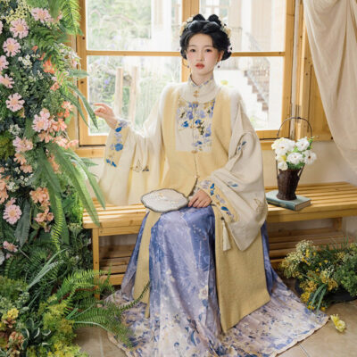 Ming Dynasty Women Long Coat and Maian Skirt Bijia Set