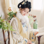 Ming Dynasty Women Long Coat and Maian Skirt Bijia Set
