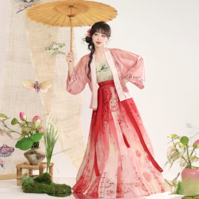 Song Dynasty Women Hanfu Autumn Swallow Ethereal Skirt Set