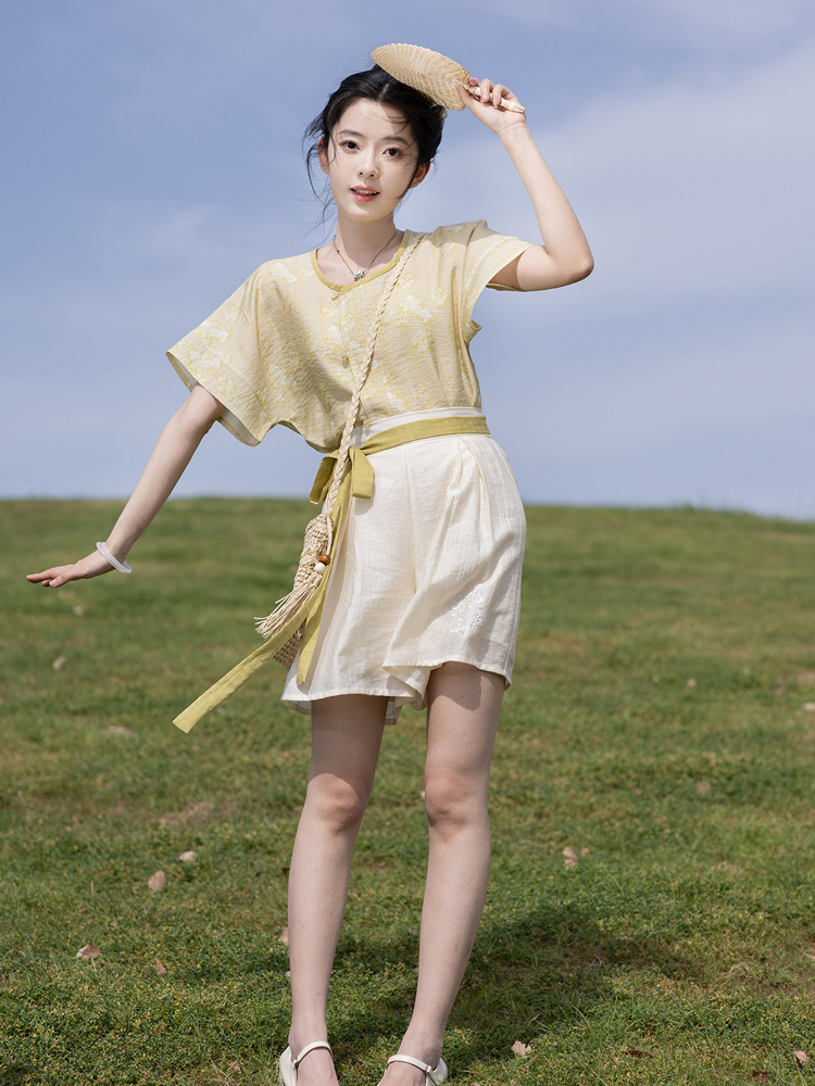 Tang Dynasty Short Sleeved Summer Simple Hanfu