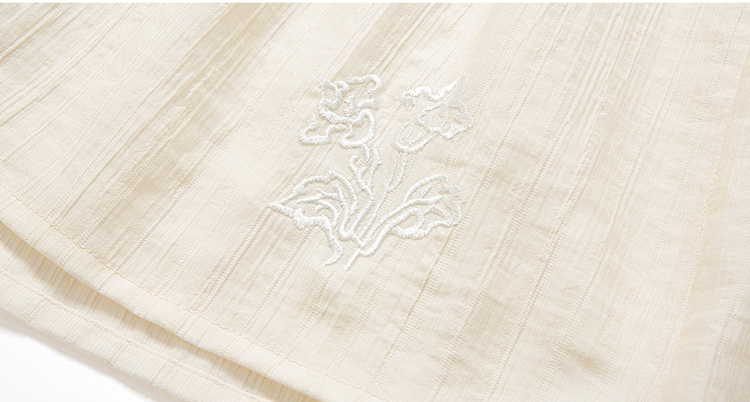 Tang Dynasty Short Sleeved Summer Simple Hanfu