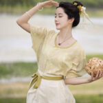 Tang Dynasty Short Sleeved Summer Simple Hanfu