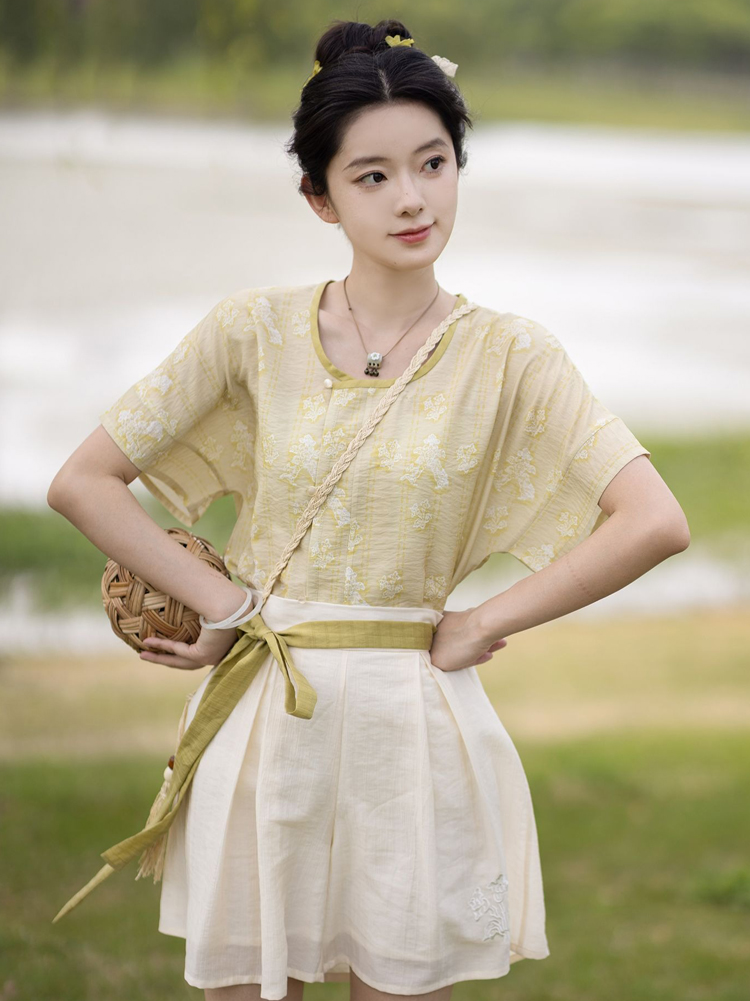 Tang Dynasty Short Sleeved Summer Simple Hanfu