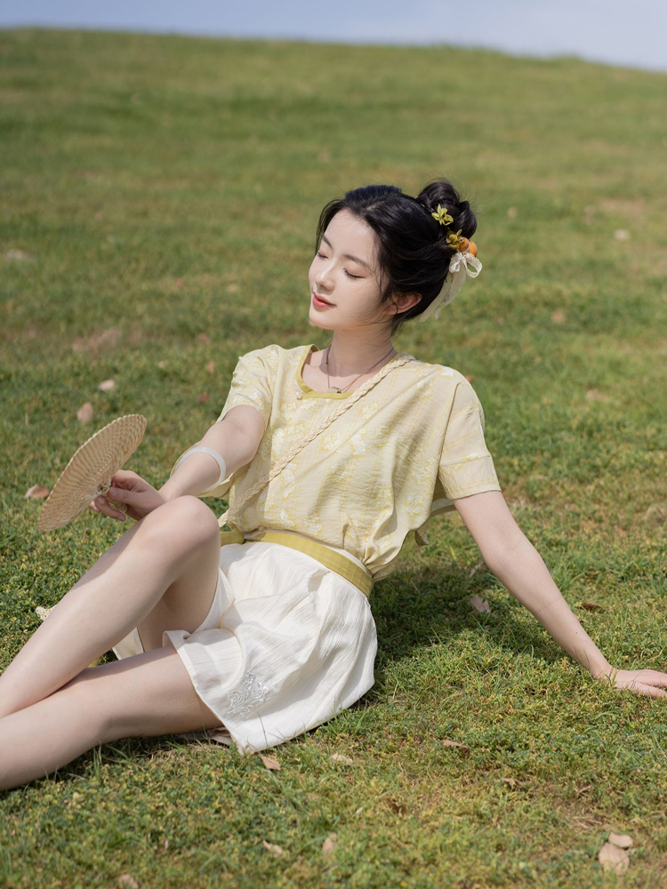 Tang Dynasty Short Sleeved Summer Simple Hanfu