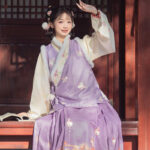Ming Dynasty Style Hanfu Women Mamian Skirt Bijia Winter Thickened Purple Set
