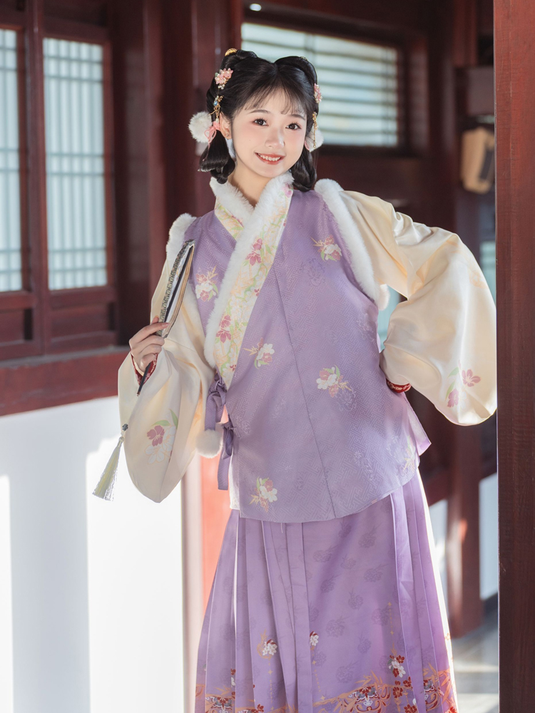 Ming Dynasty Style Hanfu Women Mamian Skirt Bijia Winter Thickened Purple Set